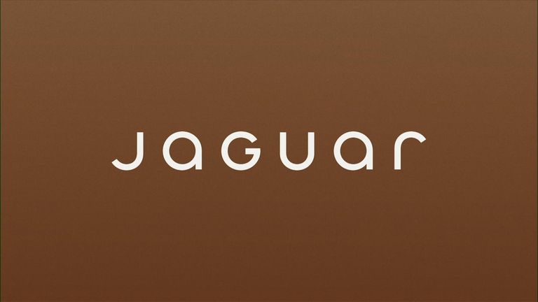 В новом ребрендинге Jaguar нет автомобилей