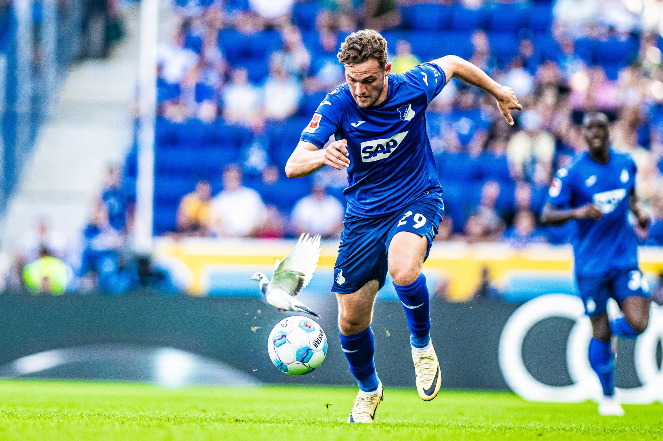 Якоб Брунн Ларсен из TSG 1899 Hoffenheim с голубем мира в игре против Holstein Kiel, 24 августа 2024 г.