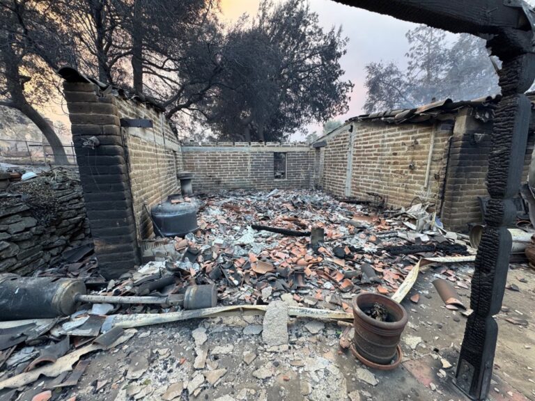 Пожар в Лос-Анджелесе уничтожил «волшебное» сообщество в Альтадене