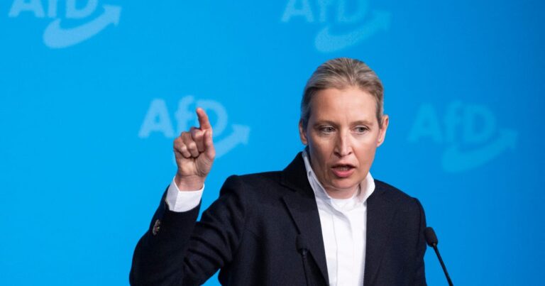 Weidel Afd удваивается на комментарии Холокоста — Politico