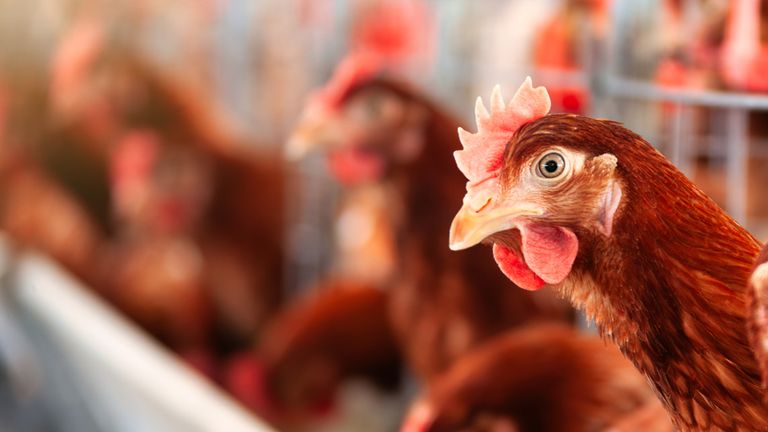 PIC: ISTOCK