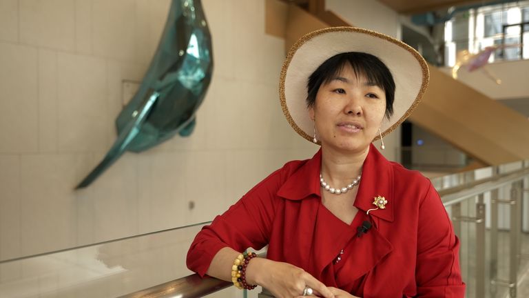  Zhang Jie управляет инкубатором, чтобы помочь стартапам в хончжоу из Хелен-Энн Смит VT о городе Ханчжоу, в провинции Чжэцзян, получила название «Силиконовая долина Китая»