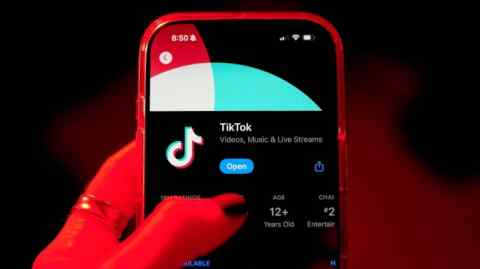 Страница приложения Tiktok в Apple App Store