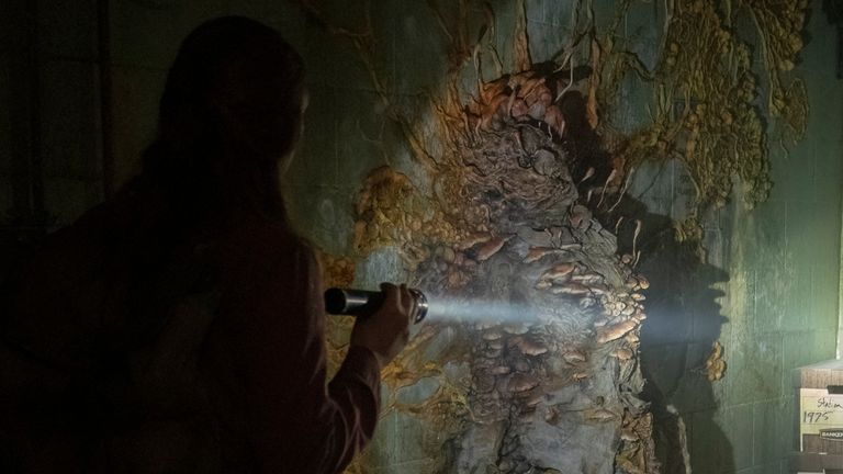 Последний из нас: наука, стоящая за настоящим грибом «зомби» — и это реальная угроза? | Наука, климат и технические новости