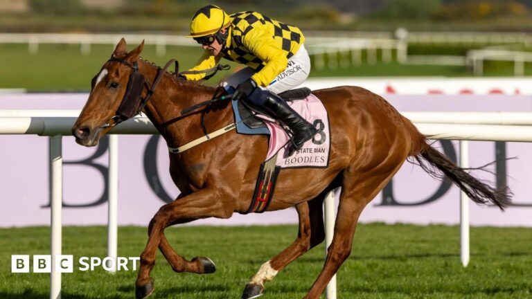 Фестиваль Punchestown: Государственный человек побеждает Conciration Hill в Jurdle Champion