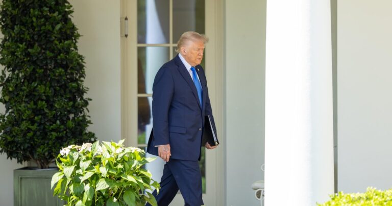 Трамп говорит: «Я не знаю, я не адвокат», если все имеют право на надлежащую процедуру
