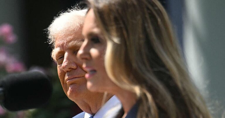 Трамп знаков «Уволить его», «Месть порно», поддержанный Меланией Трамп