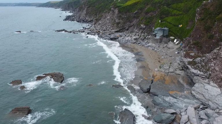 Осьминоги, акулы и тунец, которые процветают в море вокруг Великобритании, могут быть частью фундаментального сдвига в морской среде