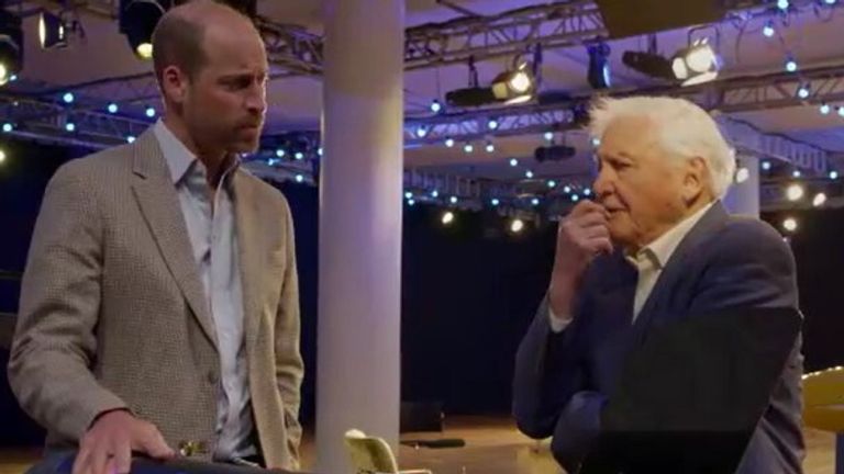 Все еще из видео - Attenborough