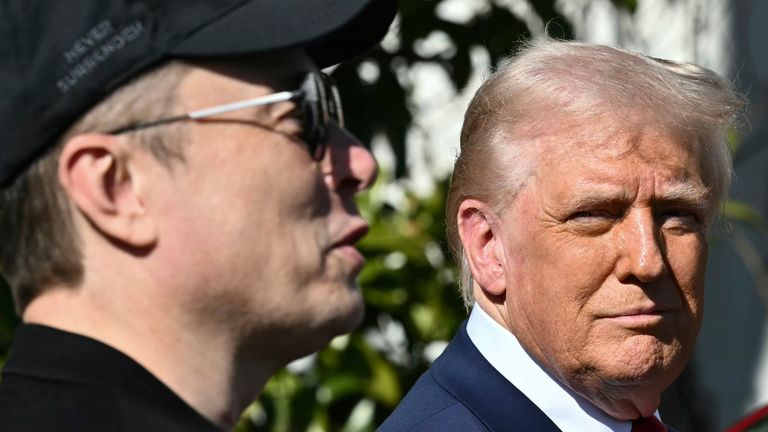 Элон Маск называет Дональд Трамп, поддерживаемый налогом, «отвратительной мерзостью» | Мировые новости