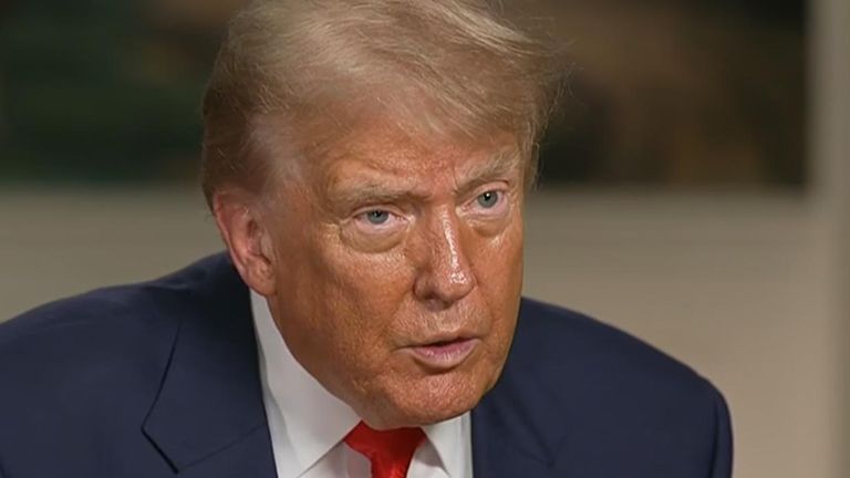 Дональд Трамп говорит, что «очень богатая группа» согласилась купить тикток в США | США новости